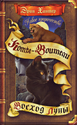 Серия книг Коты-Воители: Новое пророчество