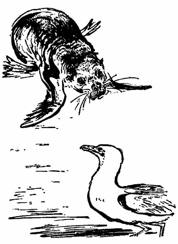 The Whispering Land - pic_11.jpg