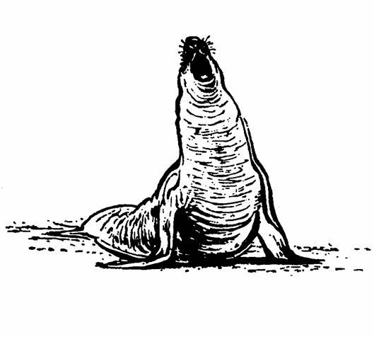 The Whispering Land - pic_12.jpg