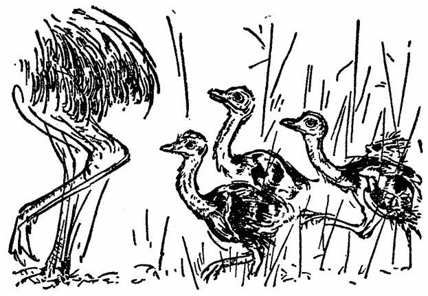 The Whispering Land - pic_13.jpg