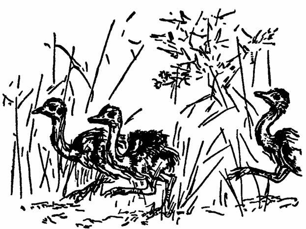 The Whispering Land - pic_14.jpg