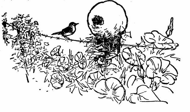 The Whispering Land - pic_3.jpg