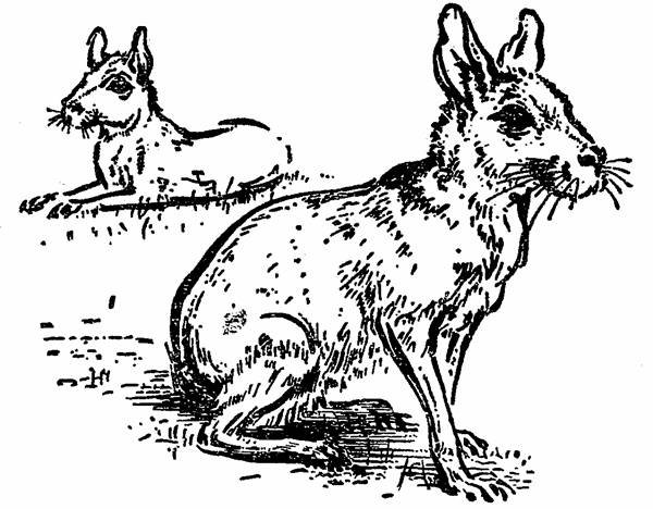 The Whispering Land - pic_4.jpg