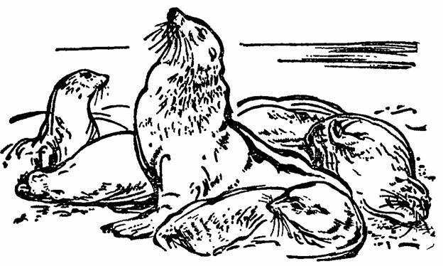 The Whispering Land - pic_8.jpg