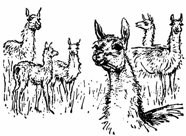 The Whispering Land - pic_9.jpg