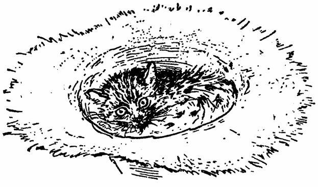 The Whispering Land - pic_19.jpg