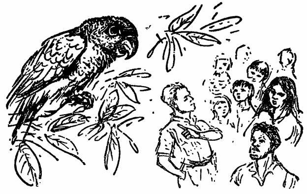 The Whispering Land - pic_20.jpg