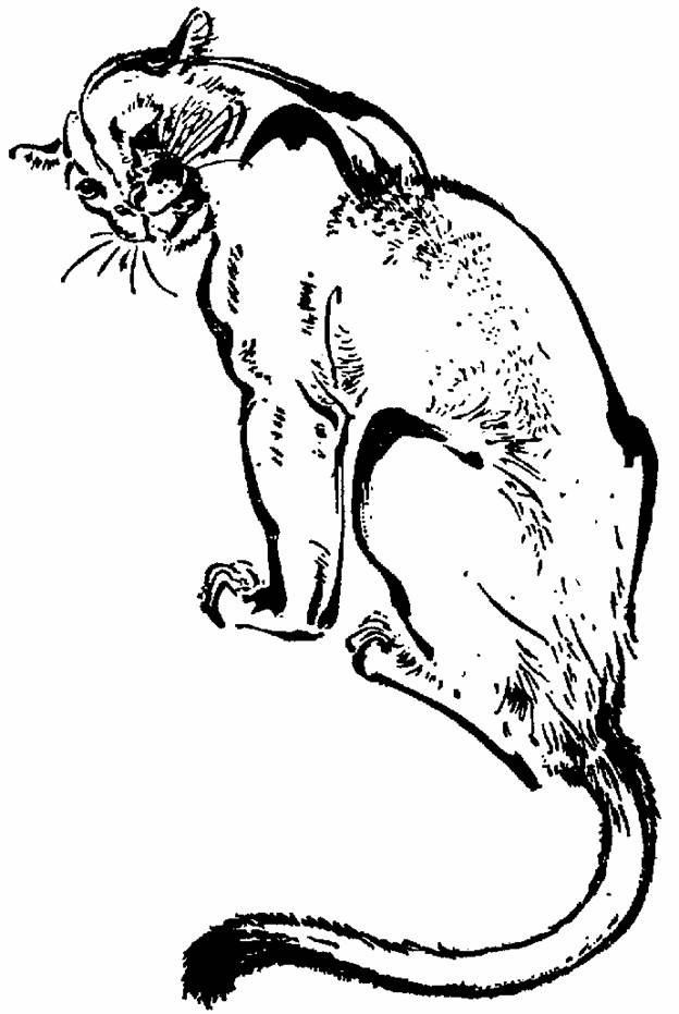 The Whispering Land - pic_24.jpg