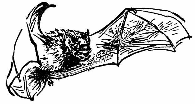 The Whispering Land - pic_25.jpg