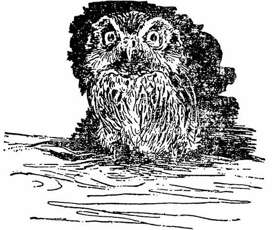 The Whispering Land - pic_27.jpg