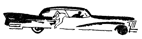 Искатель. 1966. Выпуск №6 - i_034.png