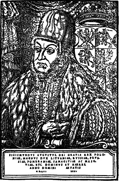 Давний спор славян. Россия. Польша. Литва [с иллюстрациями] - i_011.png