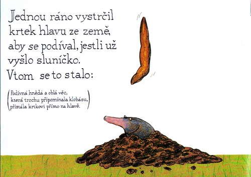 O krtkovi, ktery chtel vedet, kdo se mu vykakal na hlavu - krotik_02.jpg