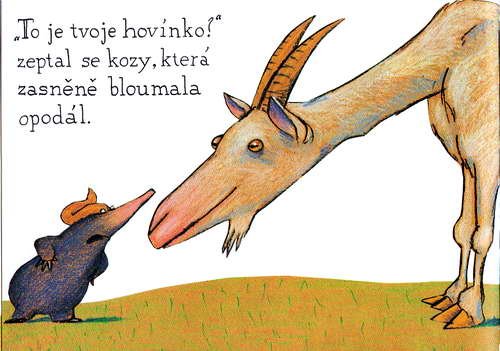 O krtkovi, ktery chtel vedet, kdo se mu vykakal na hlavu - krotik_10.jpg