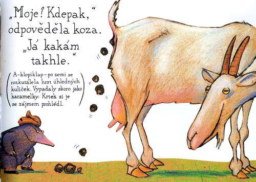 O krtkovi, ktery chtel vedet, kdo se mu vykakal na hlavu - krotik_11.jpg