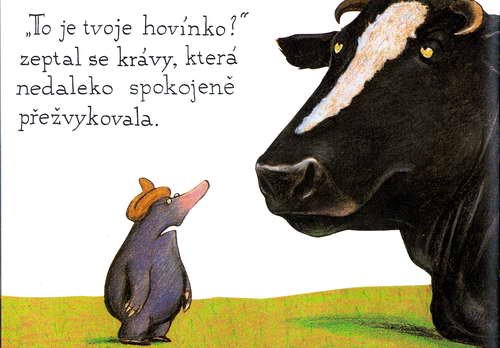 O krtkovi, ktery chtel vedet, kdo se mu vykakal na hlavu - krotik_12.jpg