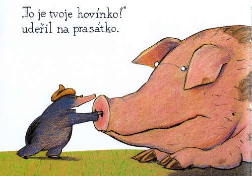 O krtkovi, ktery chtel vedet, kdo se mu vykakal na hlavu - krotik_14.jpg