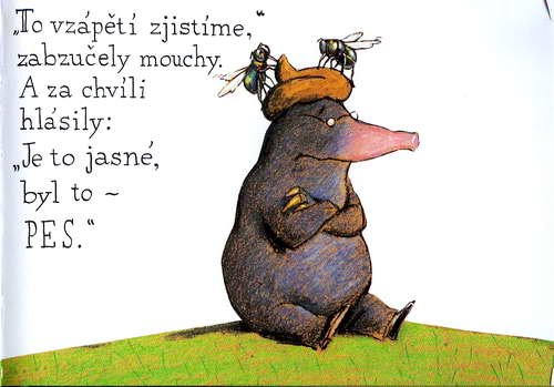 O krtkovi, ktery chtel vedet, kdo se mu vykakal na hlavu - krotik_17.jpg