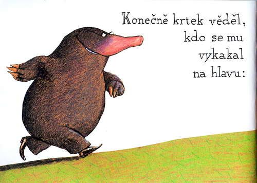 O krtkovi, ktery chtel vedet, kdo se mu vykakal na hlavu - krotik_18.jpg