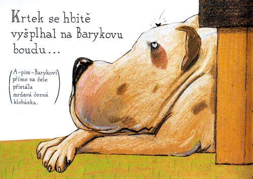 O krtkovi, ktery chtel vedet, kdo se mu vykakal na hlavu - krotik_20.jpg