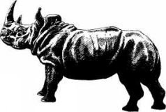 Там где бродили львы (с иллюстрациями) - pic67.jpg