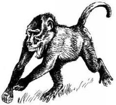 Там где бродили львы (с иллюстрациями) - pic104.jpg