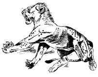 Там где бродили львы (с иллюстрациями) - pic98.jpg