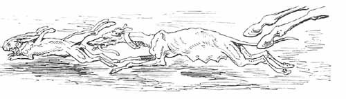 Aventures Et Mesaventures Du Baron De Munchhausen (illustre) - pic_23.jpg