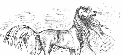 Aventures Et Mesaventures Du Baron De Munchhausen (illustre) - pic_28.jpg