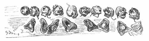 Aventures Et Mesaventures Du Baron De Munchhausen (illustre) - pic_67.jpg