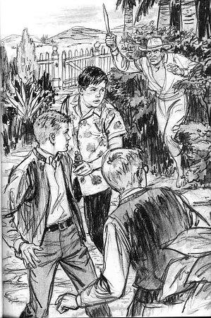 The Mystery of the Laughing Shadow - i_001.jpg