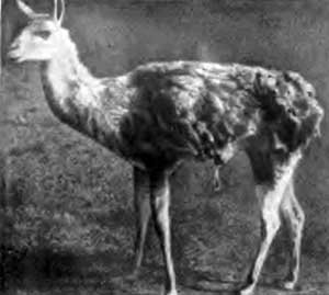 КУДА? и КАК? - i_024.jpg