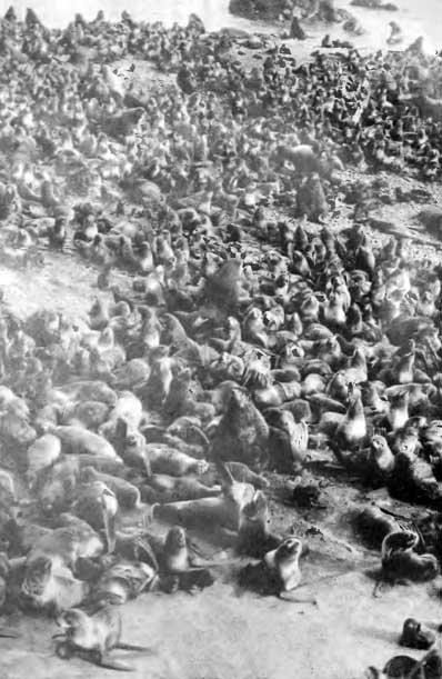 КУДА? и КАК? - i_032.jpg