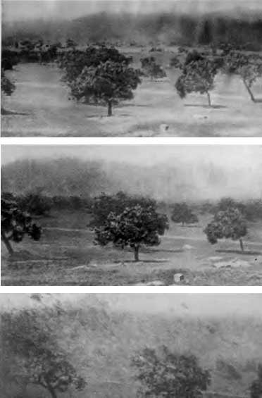 КУДА? и КАК? - i_044.jpg