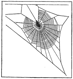 Первопоселенцы суши - i_011.png