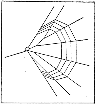 Первопоселенцы суши - i_012.png