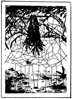 Первопоселенцы суши - i_017.png