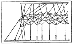 Первопоселенцы суши - i_018.png