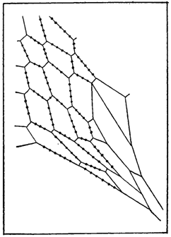 Первопоселенцы суши - i_020.png