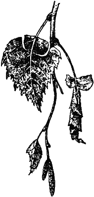 Причуды природы - i_023.png