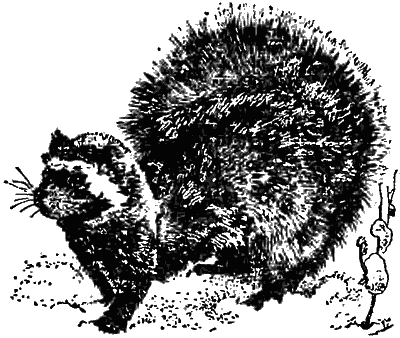 Причуды природы - i_031.png