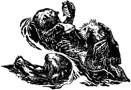 Причуды природы - i_032.png