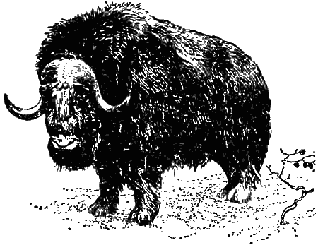 Причуды природы - i_036.png