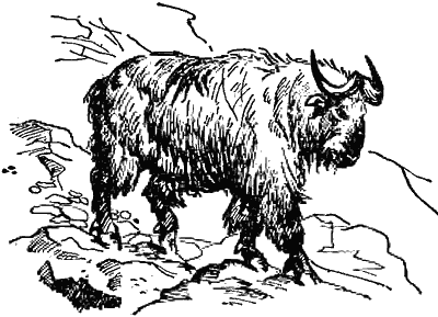 Причуды природы - i_037.png