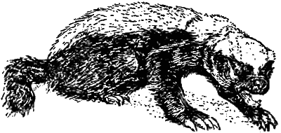 Причуды природы - i_046.png