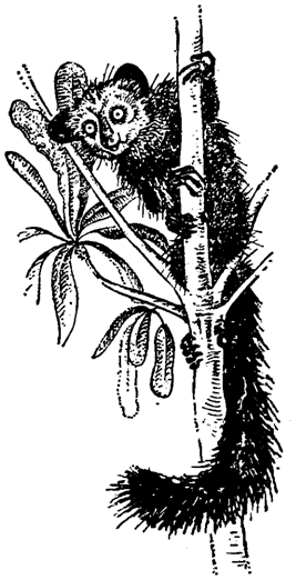 Причуды природы - i_054.png