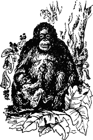 Причуды природы - i_069.png