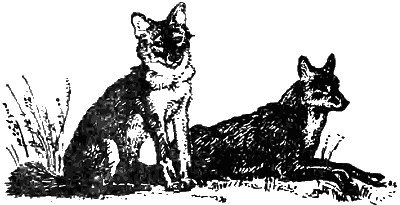 Причуды природы - i_070.png