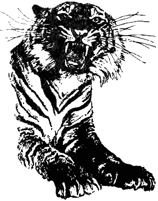 Причуды природы - i_071.png