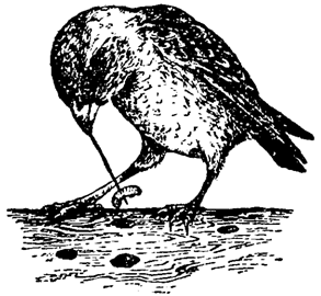 Причуды природы - i_081.png